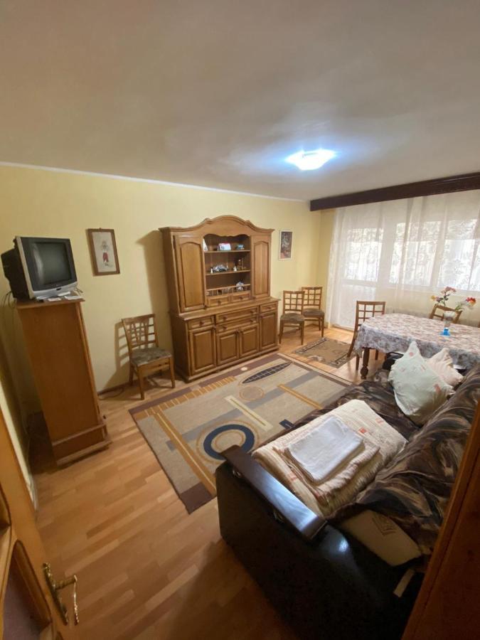 Apartament Slănic-Moldova Exteriér fotografie